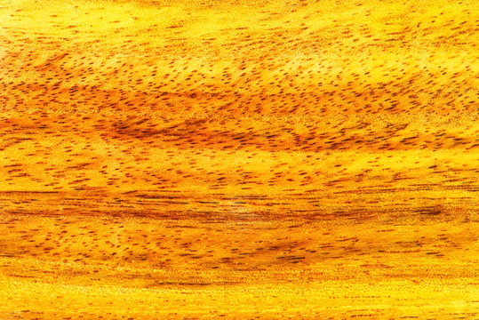 金黄木纹