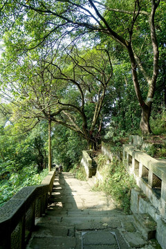 重庆南山 黄葛古道