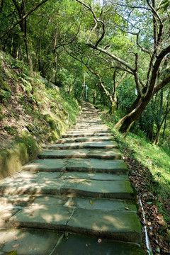 重庆南山 黄葛古道