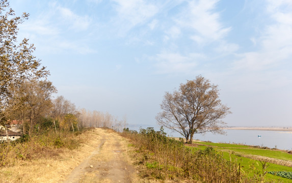 山间道路