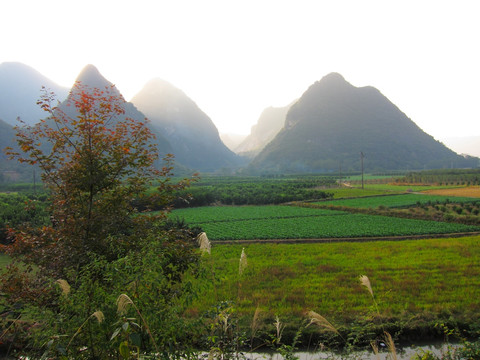 灵川风光