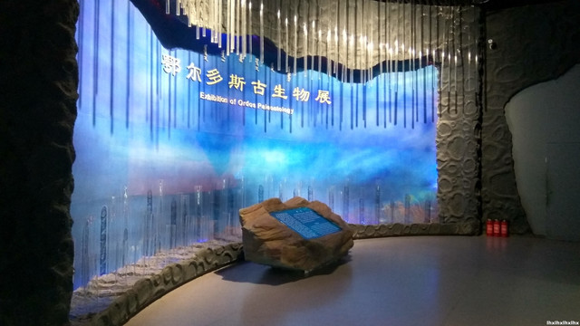 古生物展览厅