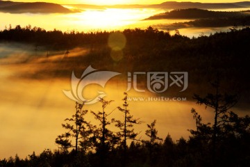 云海森林山巒