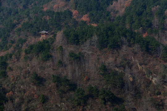 胜天农庄风景