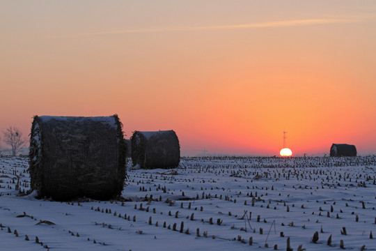冬季雪后田野的日出