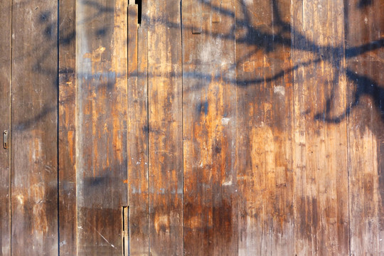 老木板上的树影