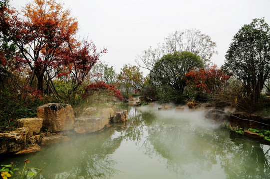 宁波 植物园 彩叶