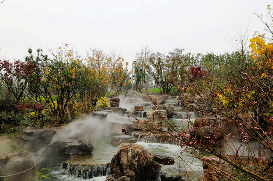 宁波 植物园 彩叶 流水