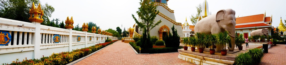 建筑 洛阳 寺庙