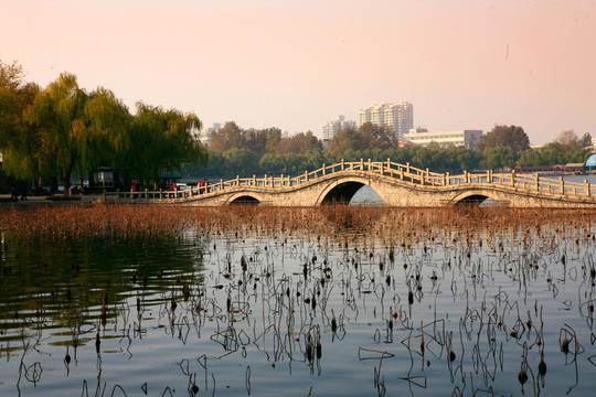 大明湖石桥