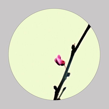 中國風(fēng) 裝飾畫設(shè)計(jì)