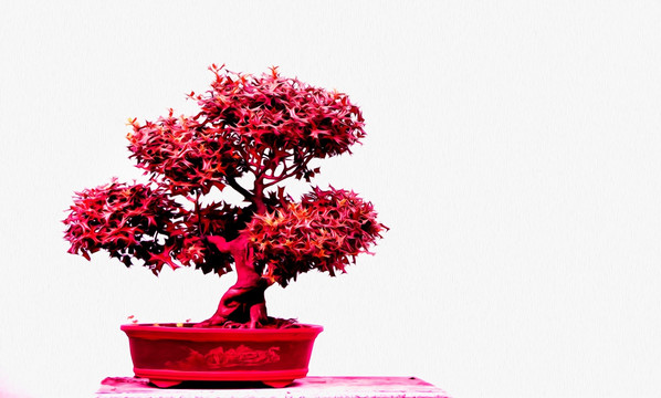 盆景仿油畫 裝飾畫