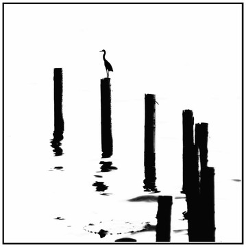 黑白簡(jiǎn)約攝影 裝飾畫