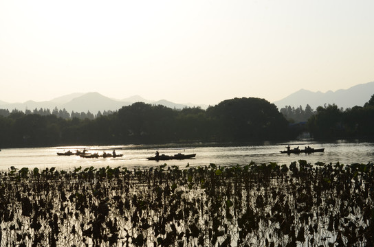 西湖山水 西湖黄昏