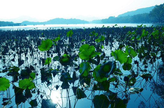 蓝色西湖 西湖山水