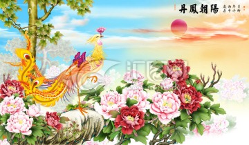 朝陽 梧桐 丹鳳朝陽