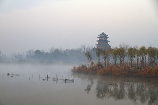 湿地风光