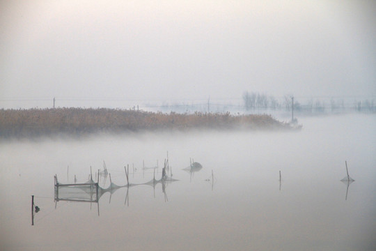 湿地晨韵