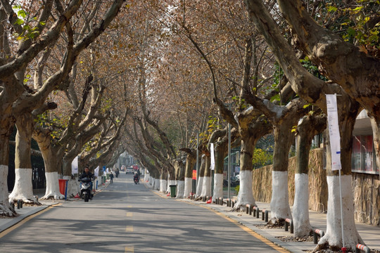 南京艺术学院