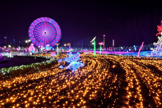 摩天轮夜景