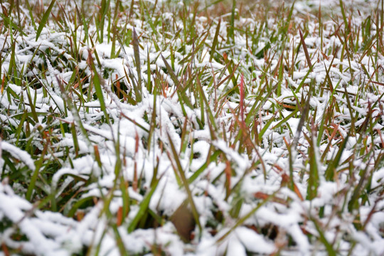 下雪素材