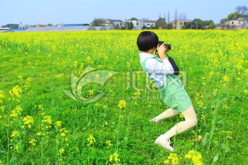 拍油菜花