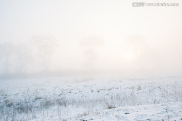 雪原