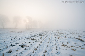 晨冬 雪雾