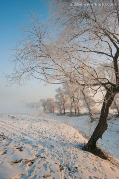 冬季美景雾凇