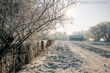 东北雾凇雪景