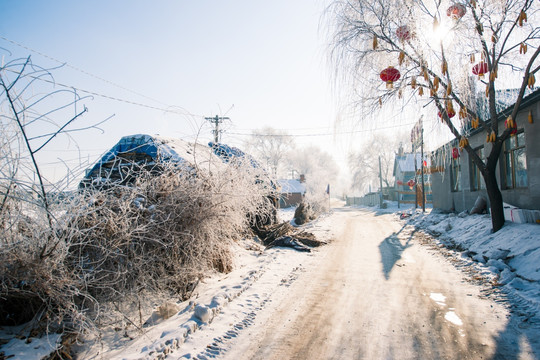 东北乡村雪景雾凇