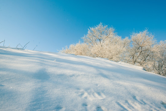 雪景 雾凇