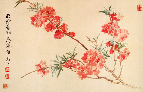 花卉