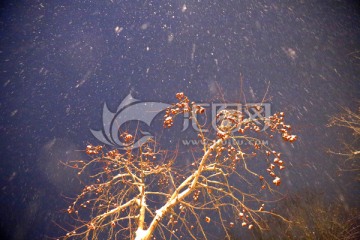 雪夜