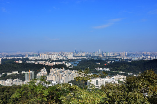 惠州 惠城区