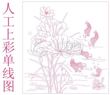 單線(xiàn)荷花魚(yú)
