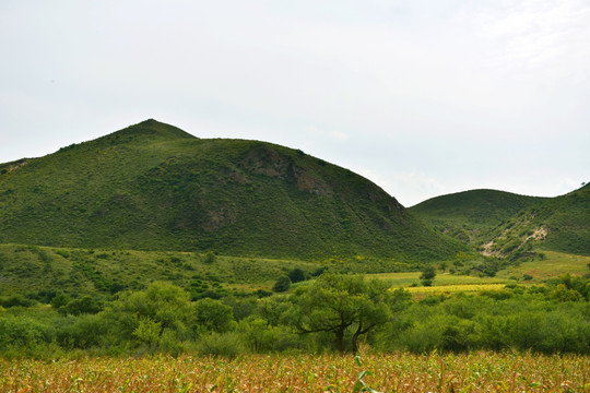 山峰