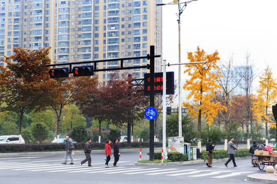 杭州滨江区街景红绿灯过马路