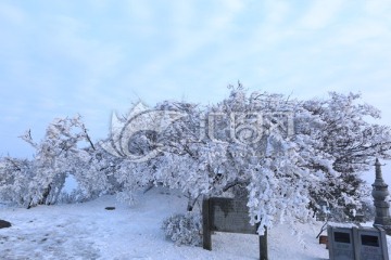 黑麋峰国家森林公园雪景雾凇图