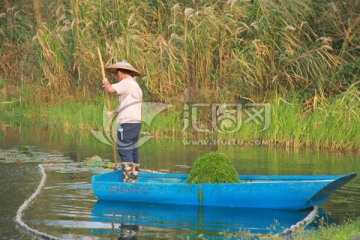 湖面清洁工捞水草