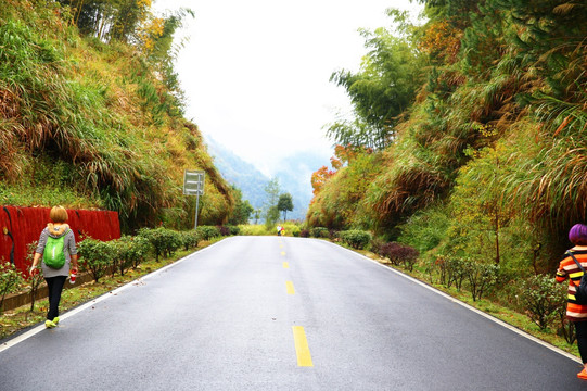 塔川公路 山区交通