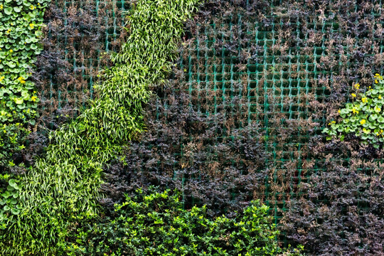 k11植物外墻