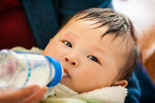初生婴儿用奶瓶吃奶