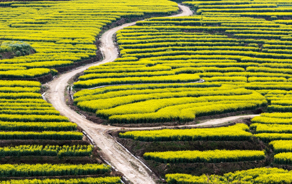 山地机耕路