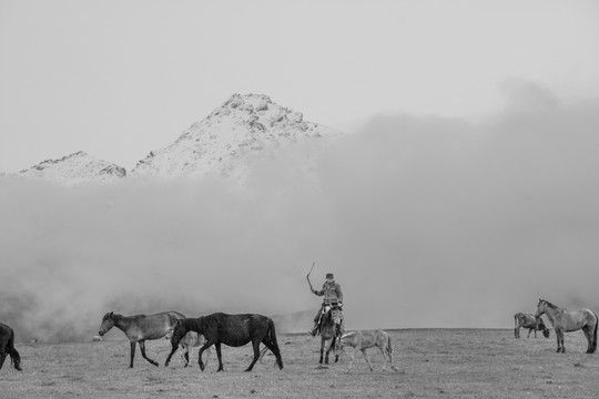 无框画 装饰画 雪山牧场