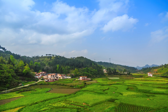 田园田野风景