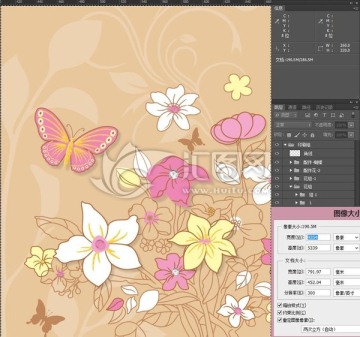 蝴蝶與花 分層