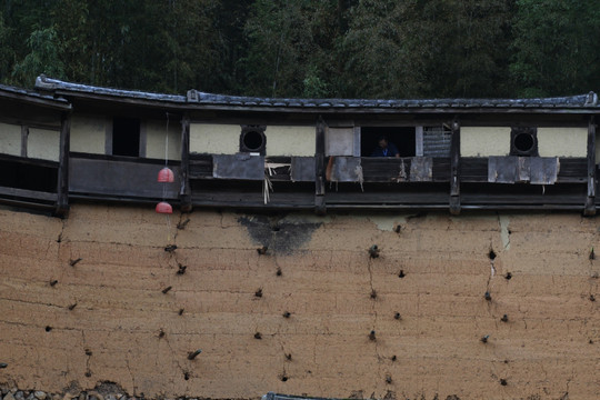 福建大田安良堡