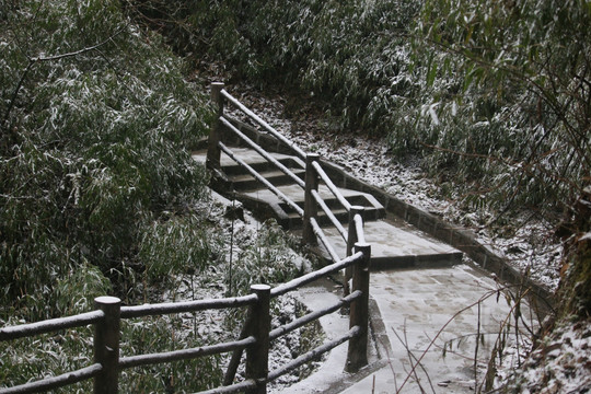 雪地台阶