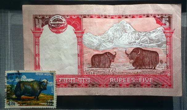 尼泊尔钱币邮票